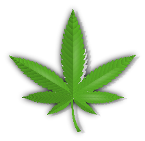 <a href="https://www.freepik.com/free-vector/papercut-style-marijuana-cannabis-leaf-design-background_8865793.htm#fromView=search&page=1&position=2&uuid=7161c65b-7879-4e5b-9e0a-b6bb16ee2e25">Image by starline on Freepik</a>