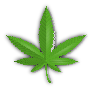 <a href="https://www.freepik.com/free-vector/papercut-style-marijuana-cannabis-leaf-design-background_8865793.htm#fromView=search&page=1&position=2&uuid=7161c65b-7879-4e5b-9e0a-b6bb16ee2e25">Image by starline on Freepik</a>